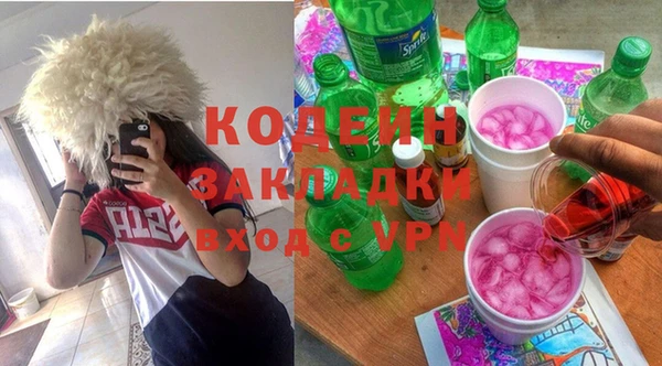 индика Абинск