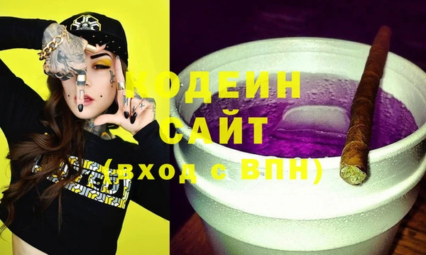 индика Абинск