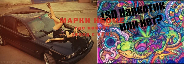 индика Абинск