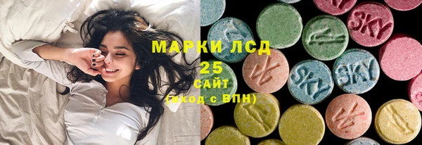 индика Абинск