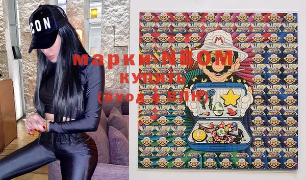 индика Абинск