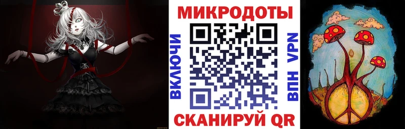 где можно купить Абинск Псилоцибиновые грибы Psilocybe